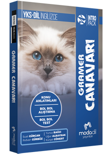 YKS DİL GRAMER CANAVARI